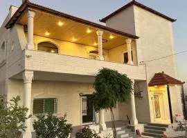 Pasha's house