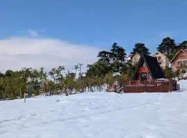 A Pine vikendica u srcu Zapadne Srbije