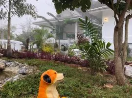 ปันดีเต็มวง Pandeethemwong