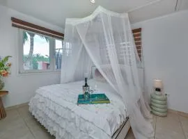 Beach house with pool in noord