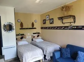 Studio lumineux proche des thermes et du centre-village residence Parc Paradis