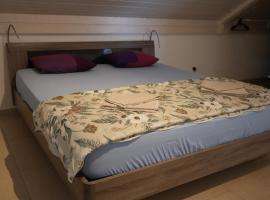 Homely 2,5 room apartment, hotel en Safenwil