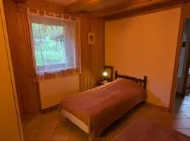 2 chalets écologiques, spa-jacuzzi, montagne Vosges