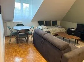 Appartement spacieux de 34 mètres carrés à 10 min de Disney