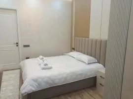 Уютная двух комнатная квартира возле Simketsity mall