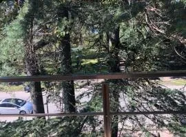 Three Pines