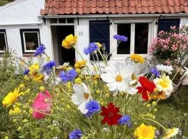 Little Secret Zeeland + ligbad