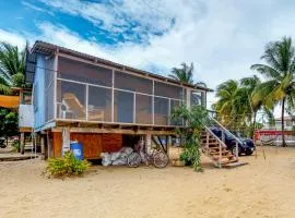 Jack at Carol's Cabanas -Gold Standard Certified