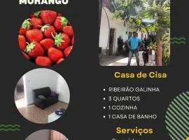 Romina Tours