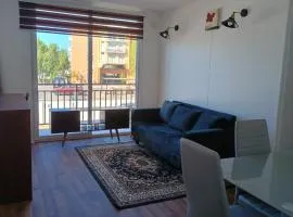 Departamento Chillán