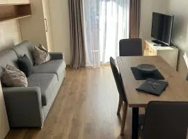Nice apartment in Jochberg with ski-in, out
