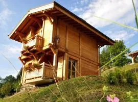 Chalet neuf pour 6 pers, animaux et parking - FR-1-836-36