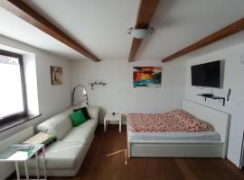 Private house near Terme Čatež, hotel in Cerklje ob Krki