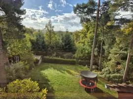 Spitzbodennest am Wald