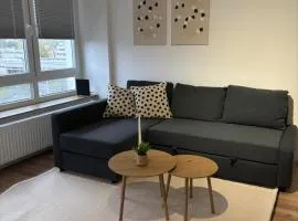 Zentrale helle 2-Zimmer Wohnung mit modernem Flair