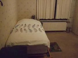 Bij het station van Drongen