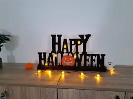 Casa Pavel