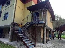 Appartment Bezenica