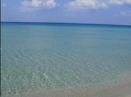 Posidonia
