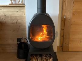 Portes du Soleil T3 "comme un chalet" direct access Morzine Avoriaz