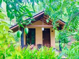 suncity privacy cottages