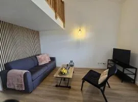 T1 bis Proche Cern Parking Privé