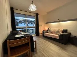 Studio confort pour 4 avec terrasse, parking, wifi et animaux admis - FR-1-525-210