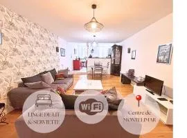 Appartement calme et spacieux au centre ville