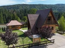 Mountain house Popović Tara