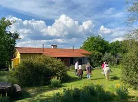 Casa Das Palmeiras-Pedagogic Farm