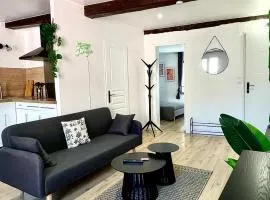 Jungle Suite - Draguignan