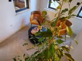 Vila Karlovčanka smeštaj u centru Sremskih Karlovaca