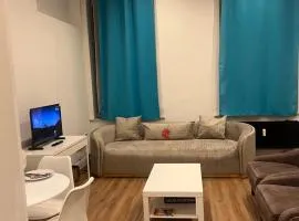 The central stay