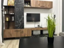 Kjara's Nest