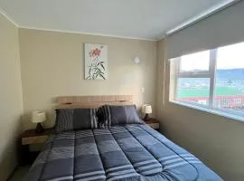 Departamento villarrica