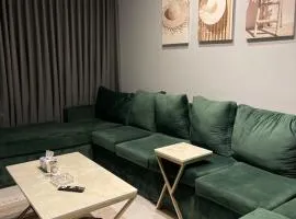 Apartment with living room and bedroom
