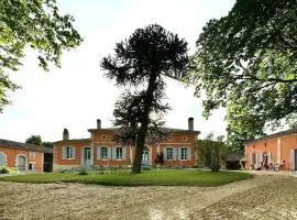 Chateau Ciers