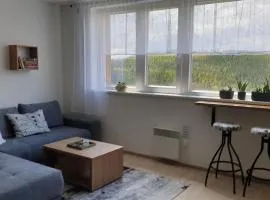 Apartmán P7 Horní Mísečky