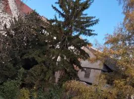 Colmar centre ville et marché de Noël