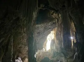 Camping phutajoy Khaosok แคมป์ปิ้งภูตาจ้อยเขาศก