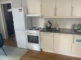 Grand center apartment