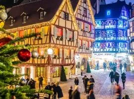 ALSACE Gîte 3étoiles prox Marchés de Noël Colmar, Eguisheim, parking, calme