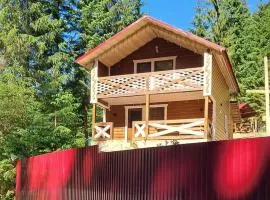 Гірська роса