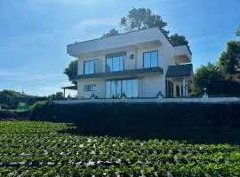 Sharti Mansion Villa