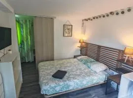 Studio Marmotte, quartier marais, terrasse en rez de jardin, matelas confort