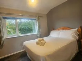 Newquay Coast and Cabin