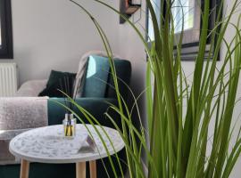 Căsuța Piticilor, vila v destinaci Broşteni