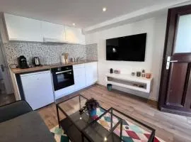 Soh Rent Appartement Schiltigheim proche Strasbourg terrasse -Tv