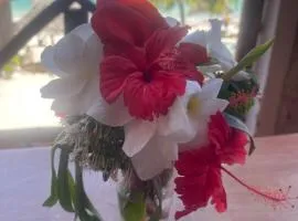 Zanzibar beach escape 1&2