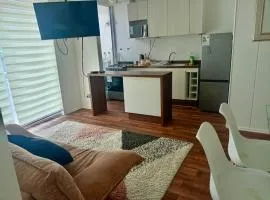 Departamento en Pucón